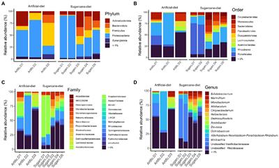 First insights into the gut microbiome of Diatraea saccharalis: From a sugarcane pest to a reservoir of new bacteria with biotechnological potential